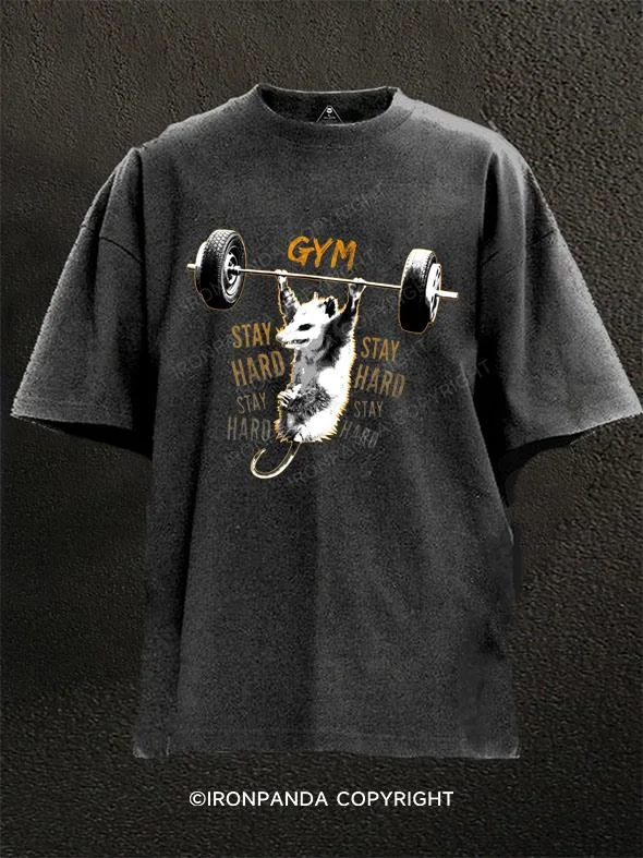 Simple T-shirts for minimalistic fashion-Gym Body Goals Washed Gym Shirt