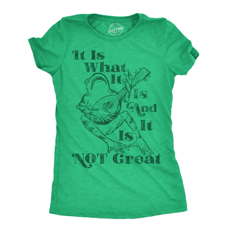 Comfortable and stretchy T-shirts for everyday wear-It Is What It Is And It Is Not Great Women's T Shirt