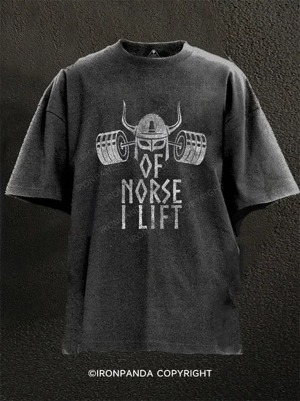 T-shirts for travel and adventure lovers-Of Norse I Lift Washed Gym Shirt